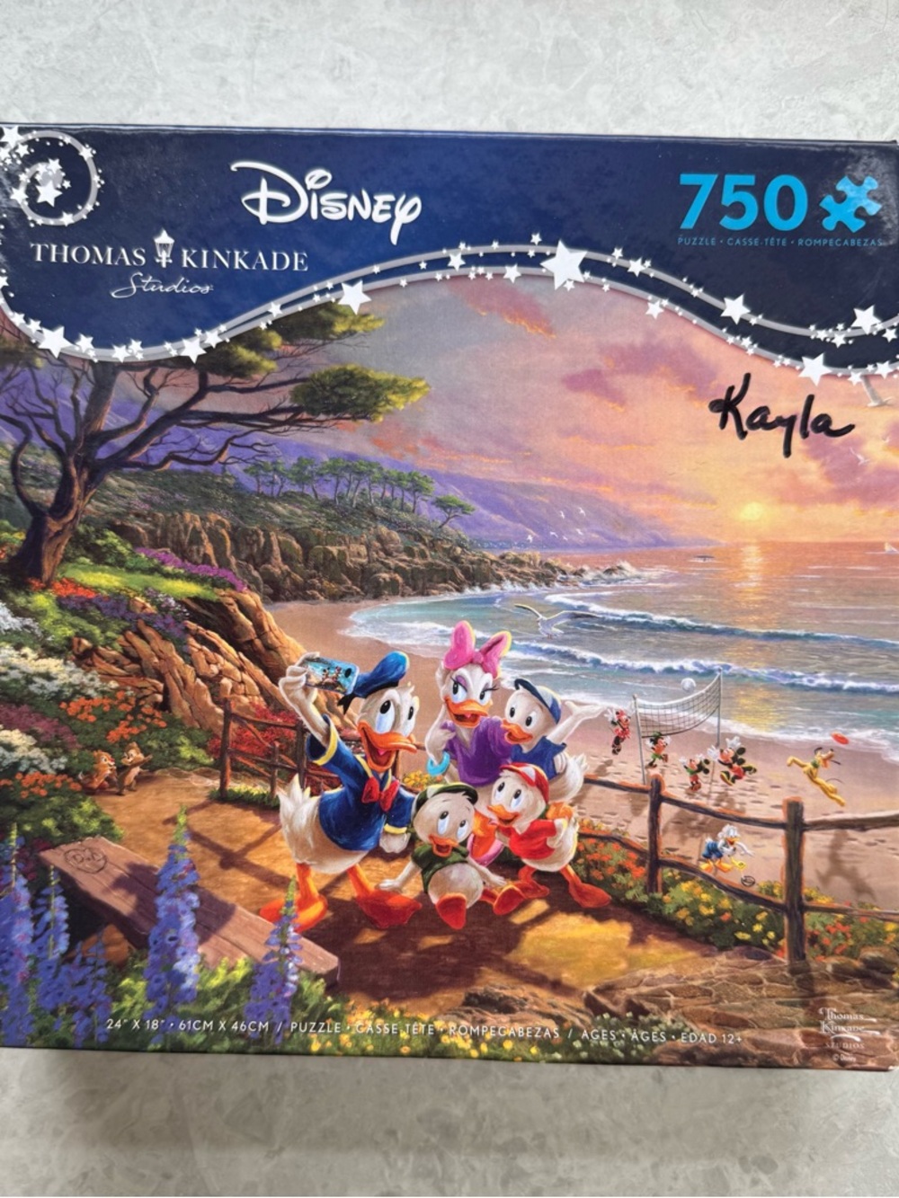 Disney Puzzle - Donald Duck Family at Colorful Sunset Beach